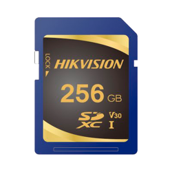 Scheda di memoria Hikvision - Capacit? 256 GB - Classe 10 | Velo