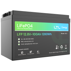 Batteria stazionaria - Capacit? 1280Wh - LiFePO4 12V / 100Ah - 3