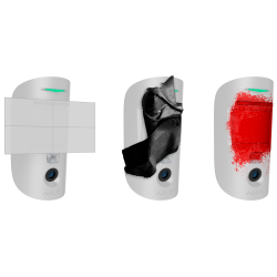 Rilevatore con foto verifica con richiesta di immagine e antimas