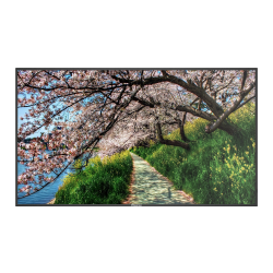 Monitor HISENSE DLED 4K 86" | Serie E - Risoluzione 3840x2160 - 