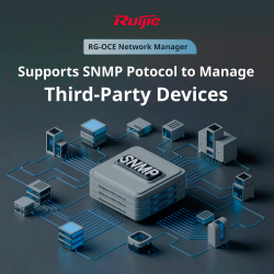 Ruijie Cloud On-Permise - Installazione di OCE-Network - Fino a 