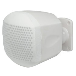 Altoparlante da soffitto  - Altoparlante a gamma completa 4" - P