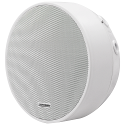 Altoparlante da soffitto  - Altoparlante a gamma completa 3" - P