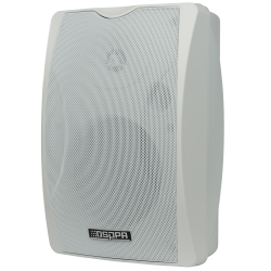 Altoparlante da soffitto  - Altoparlante a gamma completa 1x5" +