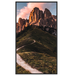 Monitor ad alta luminosità 86"  - Risoluzione 4K - Luminosità 35