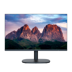 Monitor 22" - Risoluzione FHD - Aggiornamento 75 / 100 Hz - Cont