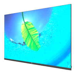 Monitor 55" - Risoluzione 4K - Frequenza di aggiornamento 60 Hz 